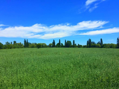 Parcelas A Minutos Centro Urbano Longaví Con Tierra Fértil