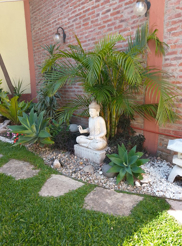 Mantenimiento De Jardines , Diseños . Poda Árboles .