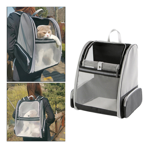 Estera Del Pie De La Mochila Del Perrito Del Gatito Negro