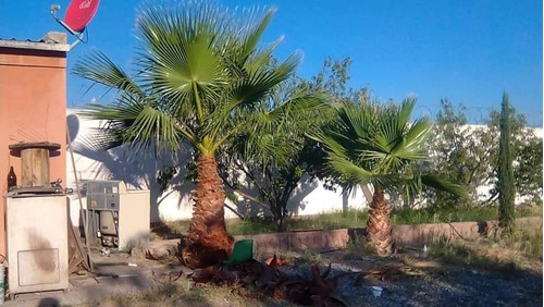 Imagen 3 de 12 de Casa De Una Planta En Venta Fracc. Sierra Azul