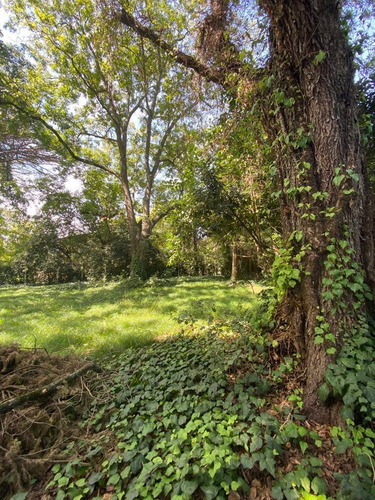 Imagen 4 de 17 de 27 Entre 420 Y 422 - Lote En Venta - Villa Elisa, La Plata
