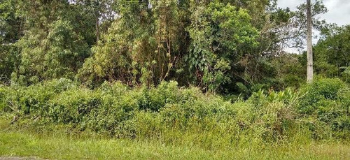 Imagem 1 de 12 de Ótimo Terreno No Jardim Marambá, Em Itanhaém 4196