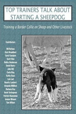 Top Trainers Talk About Starting A Sheepdog - Heather L N...