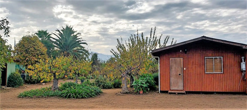Venta De Parcela De 20.000 M2, Hermosa Y Productiva, En El M