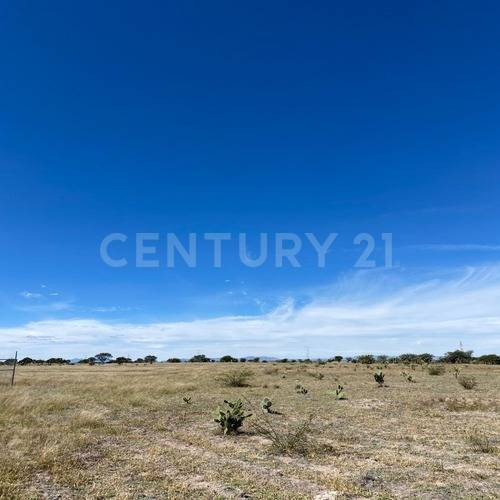 Lotes En Venta Para Parque Industrial, Salida A San Luis