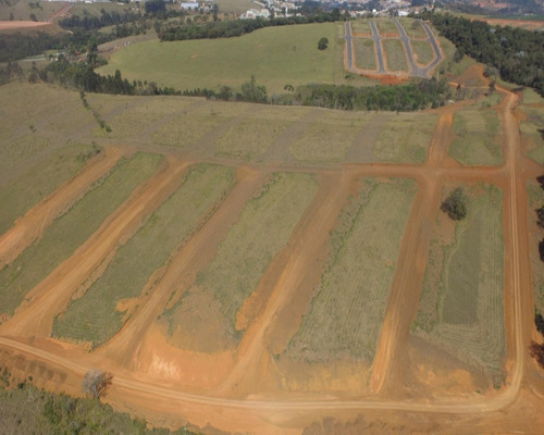 Imagem 6 de 13 de Terreno - Te00052 - 69194428