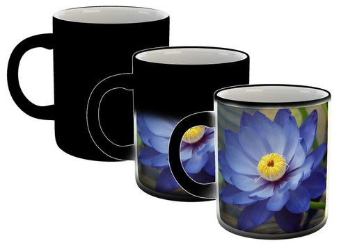 Taza Magica Flores Colores Naturaleza Plantas Paisaje M6