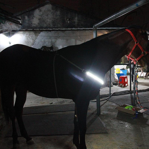 Equipo De Seguridad Ajustable Para Montar A Caballo Por La