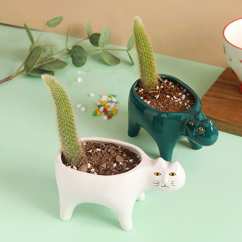 (w)for Cat Flowerpot Succulent Planter With Drainage Ceramic