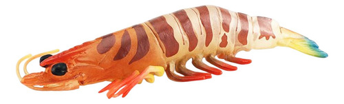 Colección De Modelos De Juguetes Educativos De Ciencia