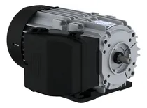 Comprar Motor Weg Trifásico W12 0,33cv 220\u002F380v Ir3 B3d 4 Polos