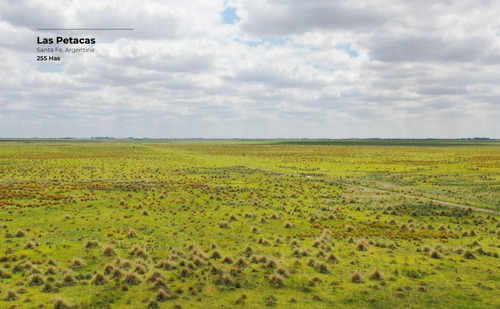 Campo De 255 Hectáreas En Las Petacas, Santa Fe
