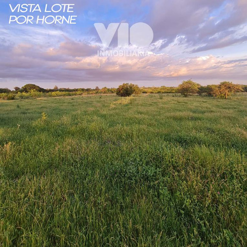 Lote En El Ejido San José
