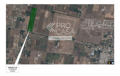 Imagen 11 de 11 de Sitio Reina Sur/reina Sur