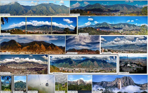 Gigantografias Fotomurales Vinilos Decorativos Venezuela