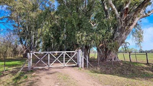 Campo De 77 Hectáreas Con Mejoras En Abbott, San Miguel Del Monte