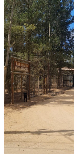 Vende Parcela Con Rol Propio En Exclusivo Condominio Las Piñ