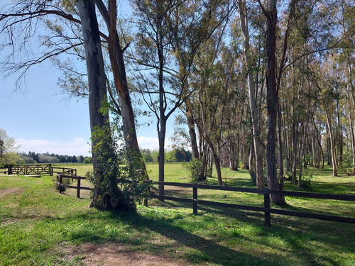 Terreno Con Importante Mejoras En Chacras Del Paraná - Zarate