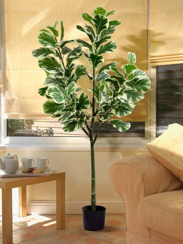 Hoja De Higuera C/borde Blanco Arbol Artificial 1.9m+maceta
