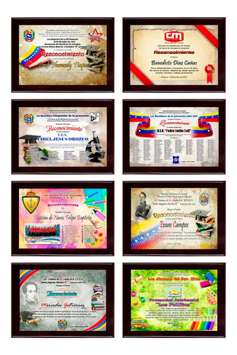 Imagen 3 de 10 de Placas De Reconocimiento En Sublimación