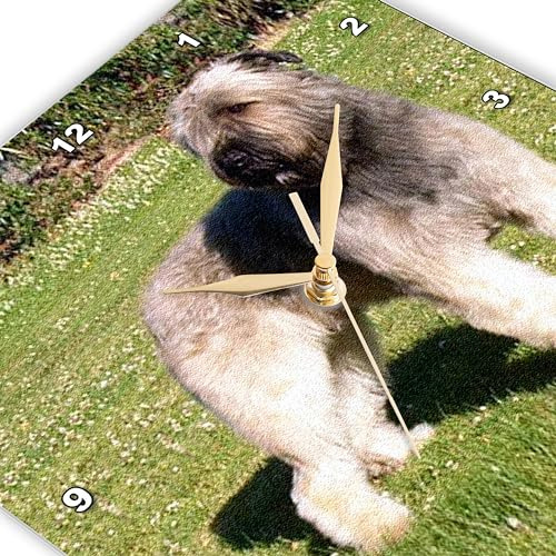 Reloj De Pared Para Perros Bouvier Dpp 989