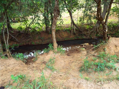 Oportunidade Terreno - 2148