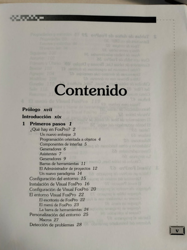 Visual Foxpro Manual De Programación - L. Pinter / J. Pinter (Usado)