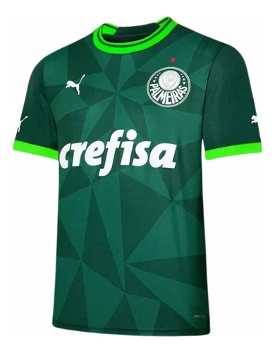 Camisa Masculina Puma Palmeiras Home I Torcedor 2023 Verde