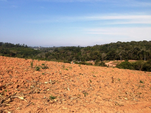 Imagem 4 de 23 de Terreno De 60.000 Mts² Apenas 100 Mts Da Bunjiro Nakao Cod: 0488
