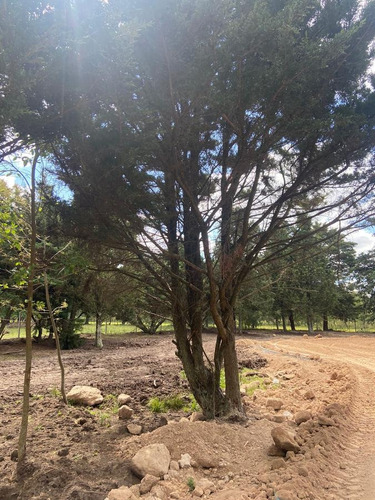Imagen 7 de 11 de Terreno - Matheu - Barrio San Jeronimo