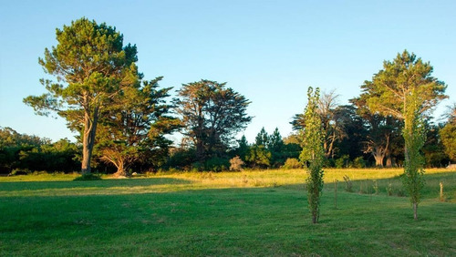 Imagen 4 de 5 de Venta De Lote En Punta Ballena, Maldonado - Los Tordillos