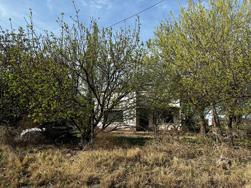 Finca Con Produccion De Alfalfa Y Vivienda