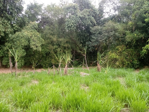 Imagem 18 de 27 de Chácara 10,000m2,muita Água,nascente Fundos,casa Sem Terminar,4 Kms Do Asfalto,bairro Vatinga - Ch00040 - 68898851