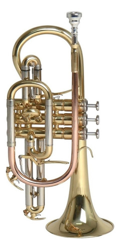 Roy Benson Cr-302 Corneta Si Bemol Latón Laqueada Tudel Ml