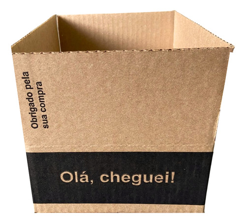 25 Caixas De Papelão 19x16x7 Para Envios E-commerce Flex 