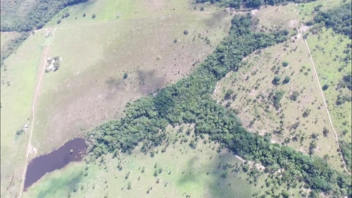 Fazenda 500 Alqueires (1210 Hectares), Juara - Mt