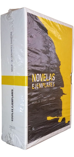 Novelas Ejemplares - Miguel De Cervantes / Sc + Sorpresa