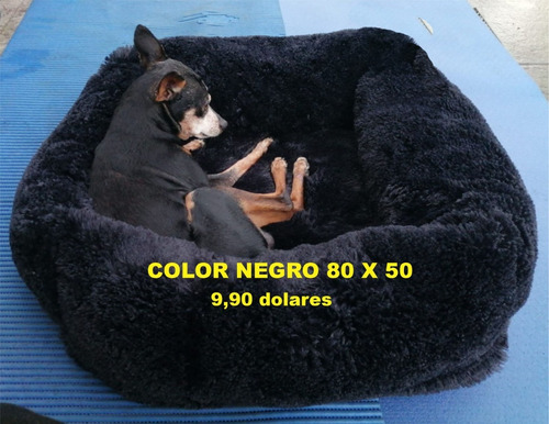 Imagen 6 de 8 de Camas De Venta Quito