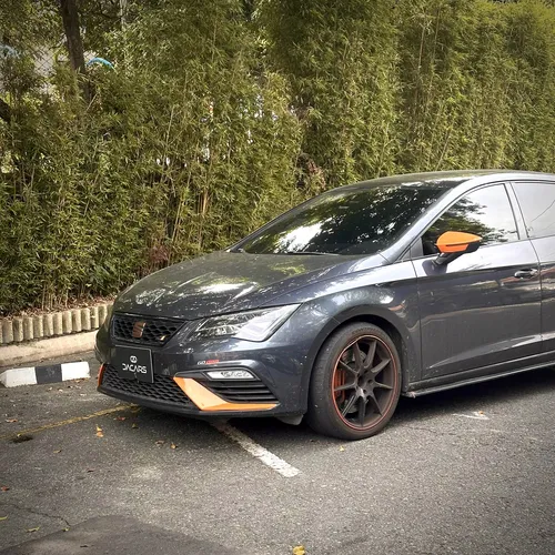Seat Leon Cupra 290