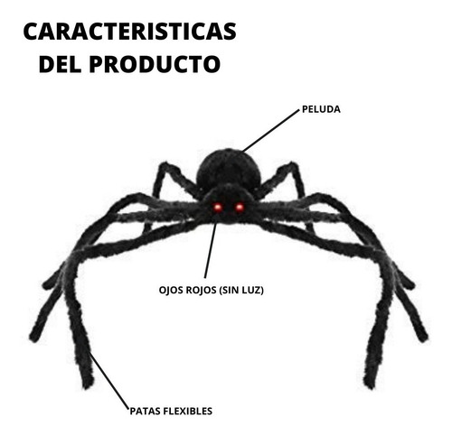 Imagen 3 de 4 de Decoracion Araña Halloween 125 Cm (6x125cm)