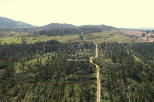 Imagen 4 de 9 de Chacras-venta-piriapolis-ch120