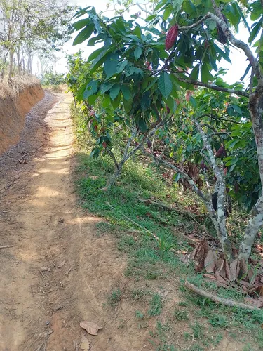 Vendo Finca En Yolombo Antioquia