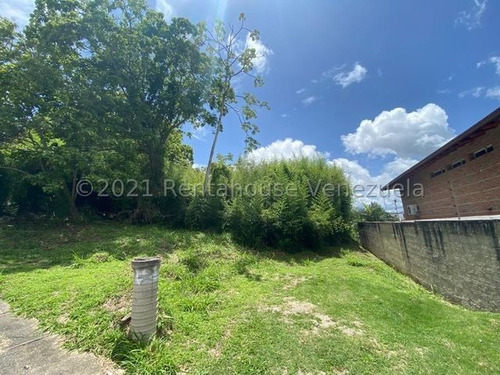 Imagen 5 de 7 de Terreno En Venta