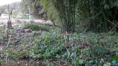 Imagem 3 de 5 de Terreno À Venda Na Estrada Artur Antunes Quintanilha, Rio Do Ouro, Rio Bonito - Rj - Liv-10049