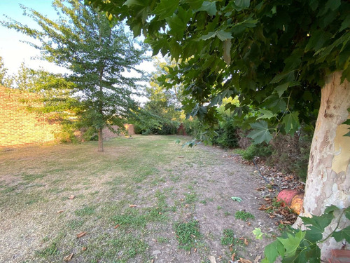 Imagen 15 de 21 de Terreno Forestado Y Cercado En Venta Altura Km10r1