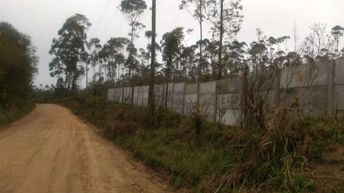 Imagem 3 de 14 de 01- Terrenos Com Agua E Luz Em Mogi Das Cruzes !