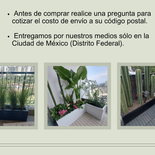 Arrayan De Fruta #3