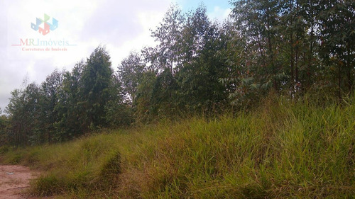 Sítio À Venda Região De Itapetininga Sp - 419