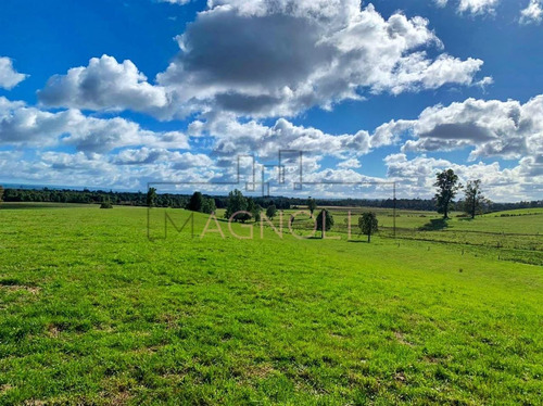 Terreno Construccion En Venta En Los Muermos