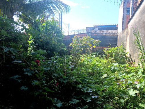 Imagem 8 de 19 de Casa Com Horta Na Praia De Itanhaém